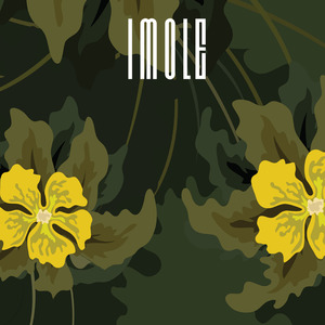Imole