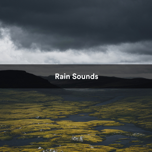 Regenmelodien