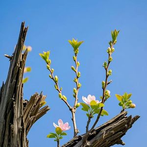 灯光比我先看见你