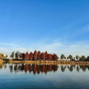 承诺只在爱时作数