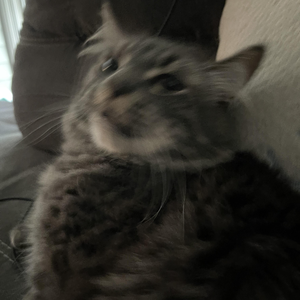 why u so mad? (nitecore)