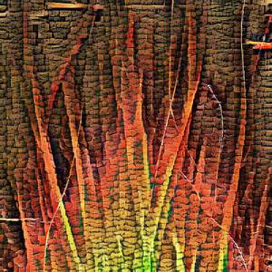 There are stranger things in life