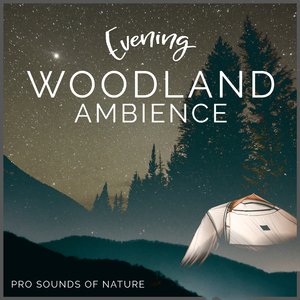 Riverside Calling Birds