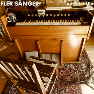 Bländvita Måsarna Seglar