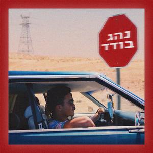 נהג בודד