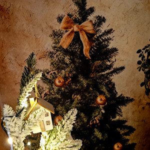 Światło w stajence