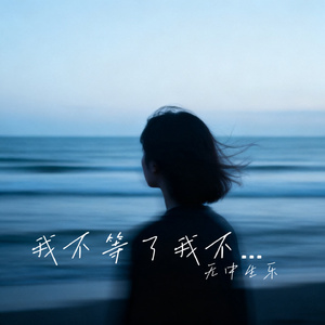 我不等了我不爱了