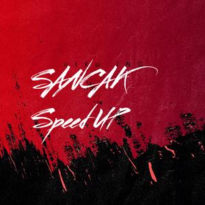 Sancak Cennet Speed Up