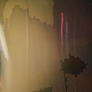 达尔文Live16498525019681