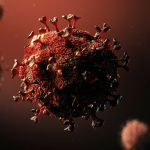 Double Double Mask - Covid 19 Anthem