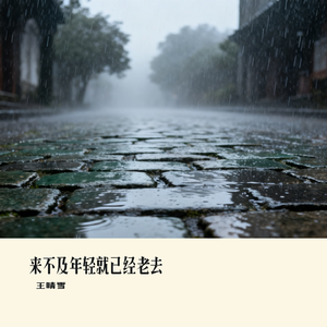来不及年轻就已经老去
