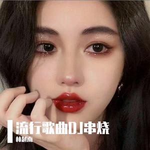 林越南-最近重要的人要干干净净的放在心尖尖上DJ串烧舞曲