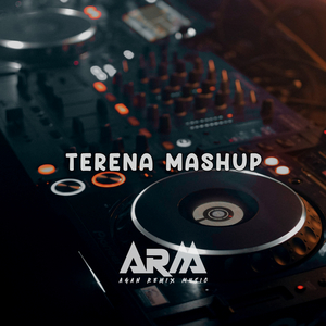 TERENA MASHUP