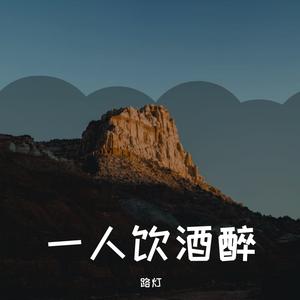 一人饮酒醉 伴奏（翻自 大鹏）