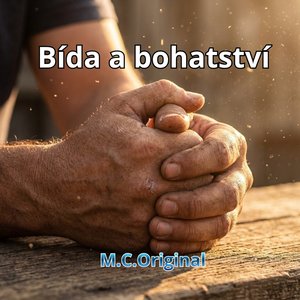 Bída a bohatství