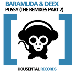 ***** (Baramuda Housepital Mix)