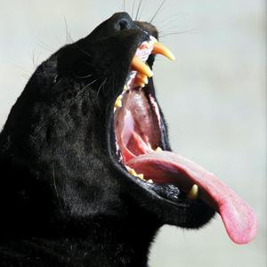 EA7~remix（低音音乐）