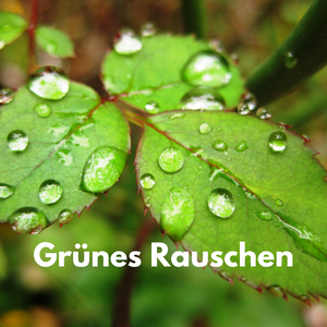 Feines Rauschen