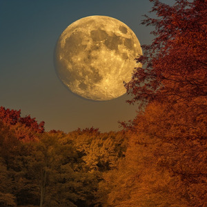 Guarda en tu corazón