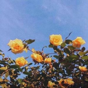 Awkward (feat. Matthew The Kidd & Ikbakimari)