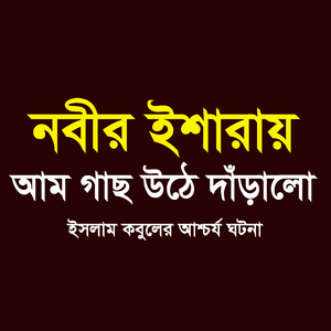 নবীর (সাঃ) ইশারায় আম গাছ উঠে দাঁড়ালো ইসলাম কবুলের আশ্চর্য ঘটনা