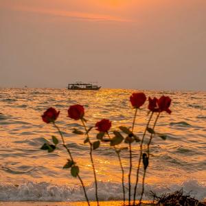 海屿你（DJ版）