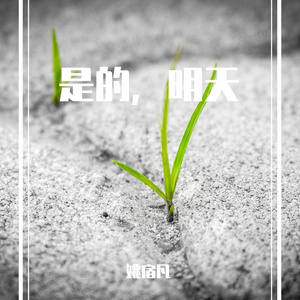 是否，明天（demo）