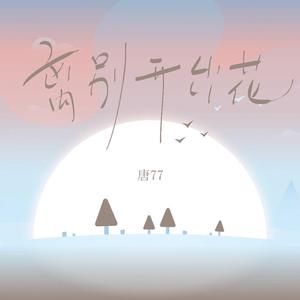 心里有一场雪（DJ版）