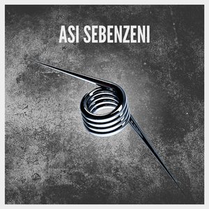 Asi Sebenzeni
