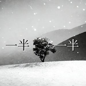 一半一半