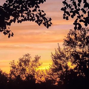 梦中人（Prod.Gr33nart Beats)