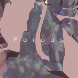 Porous