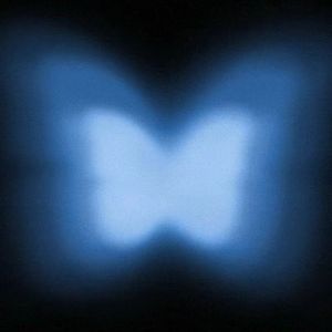 心碎蝴蝶(Prod.by EVO MUSIC)