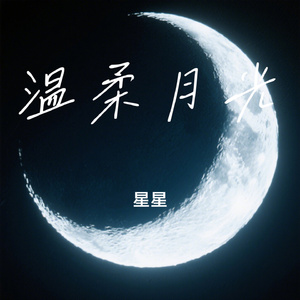 温柔月光