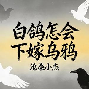 白鸽怎会下嫁乌鸦 (玫瑰怎会爱上野花)