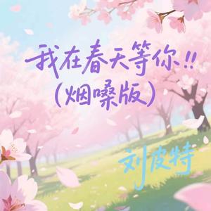 我在春天等你 (烟嗓版)
