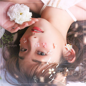 属于爱在的地方