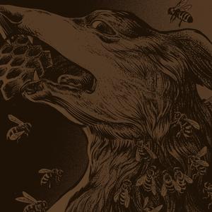 You've come to grief,