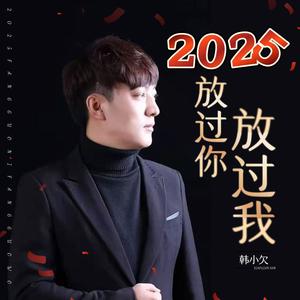 2025放过你放过我 (DJ阿能深情版)