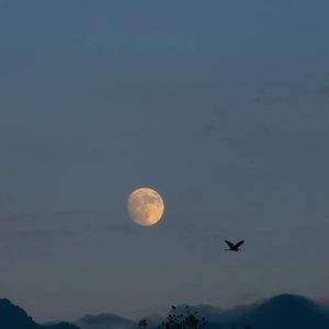 超强治愈脑波音乐