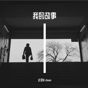 我的故事（My story）