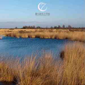 月坠花折 (催眠曲)