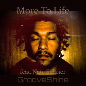 More to Life (feat. Nate Schrier)