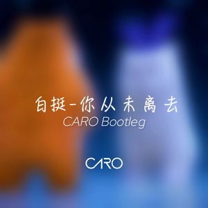 白挺-你从未离去（CARO Bootleg）
