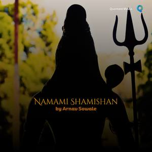 Namami Shamishan