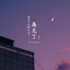 再见了过路人V7