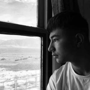 Newruz gulum（我爱你春花）