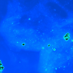 Everything Intentional