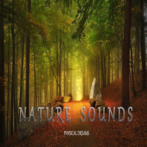 Nature Sounds Nº1