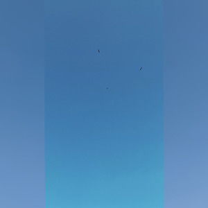 Кто Тебя Любит